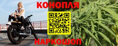 сатива Ставрополь