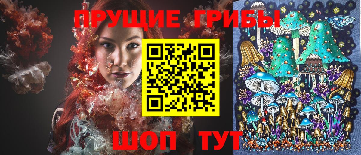что такое   Вход с VPN  Псилоцибиновые грибы прущие грибы  Белореченск  Псилоцибиновые грибы мицелий 